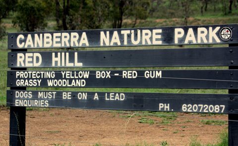 Red Hill nature reserve sign 
