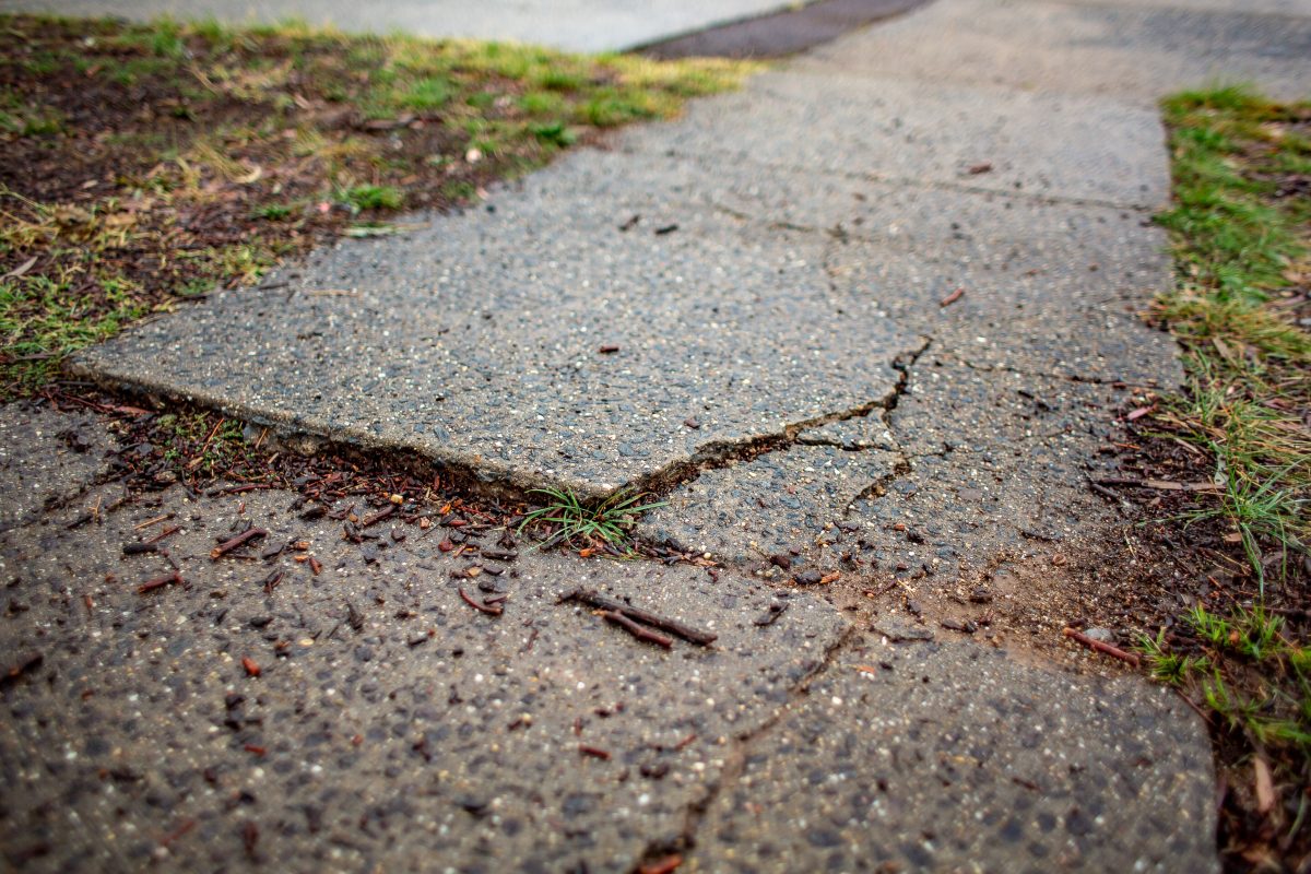 Cracked footpath