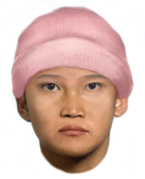 Face-fit of knifing suspect