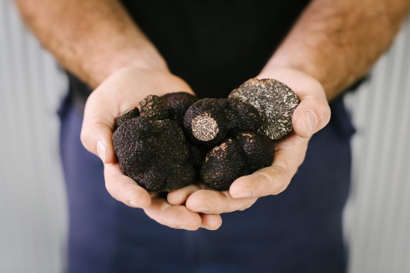 Black winter truffles