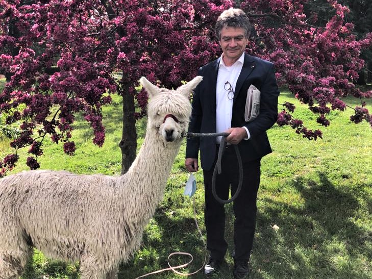 Michel Goffin with an alpaca