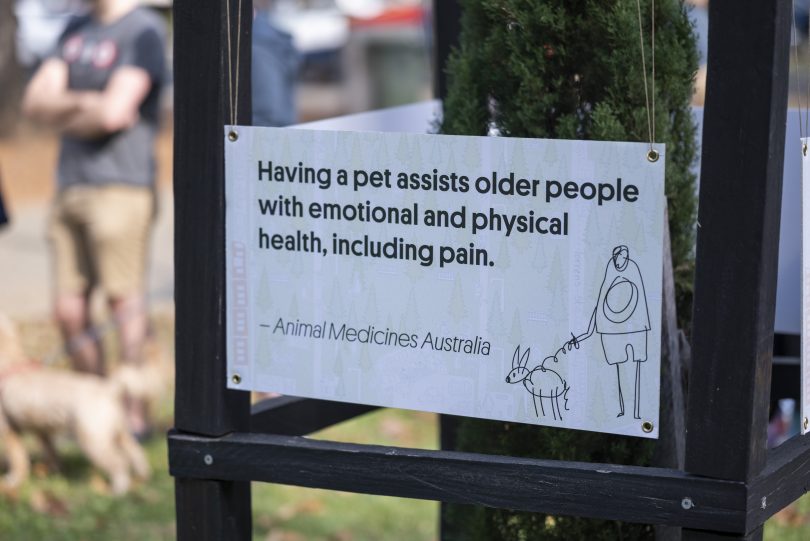 Sign for older pet owners in park
