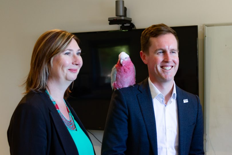 A galah sits on the shoulder of Minister for City Services Chris Steel, standing next to RSPCA ACT CEO Michelle Robertson. 