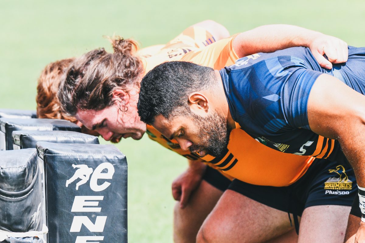 Brumbies rugby players in scrummaging training