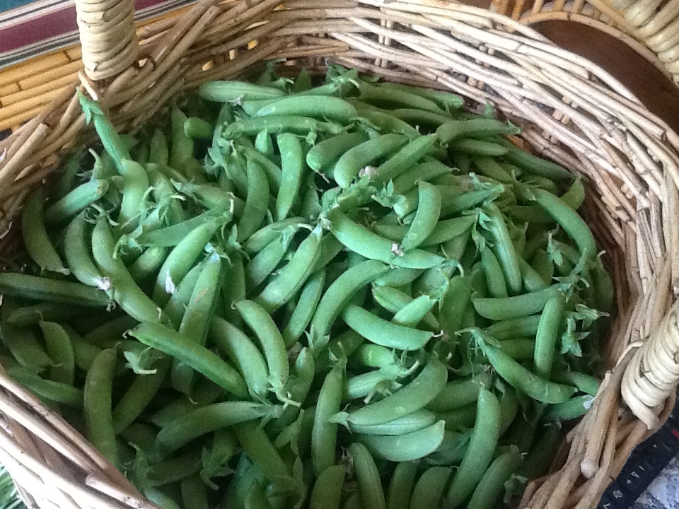 Basket of peas