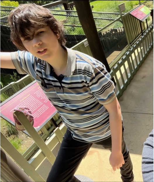 Boy standing at zoo