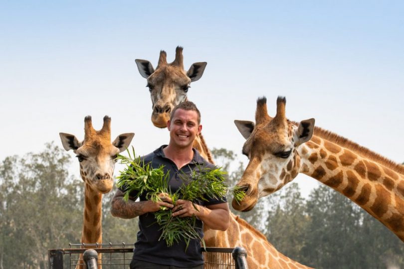 Mogo Wildlife Park's Chad Staples standing with giraffes.