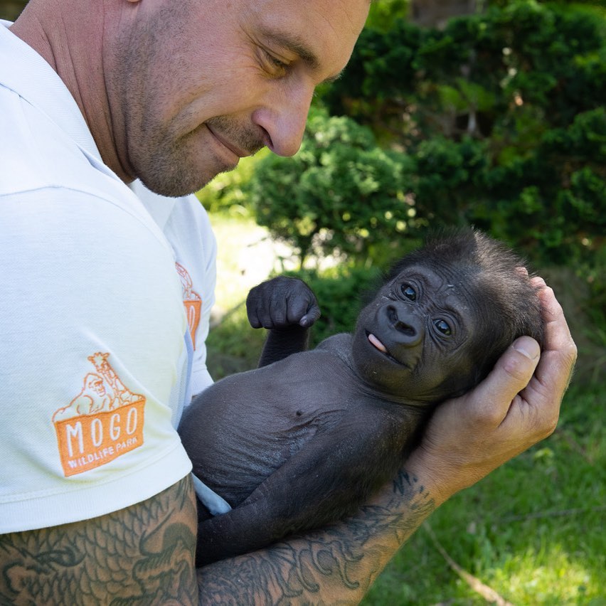 Zookeeper Chad and baby gorilla